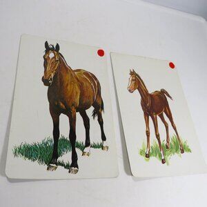 Peabody ANIMALS Horse & Colt or Filly (2) cards Vintage 1960s  Artwork